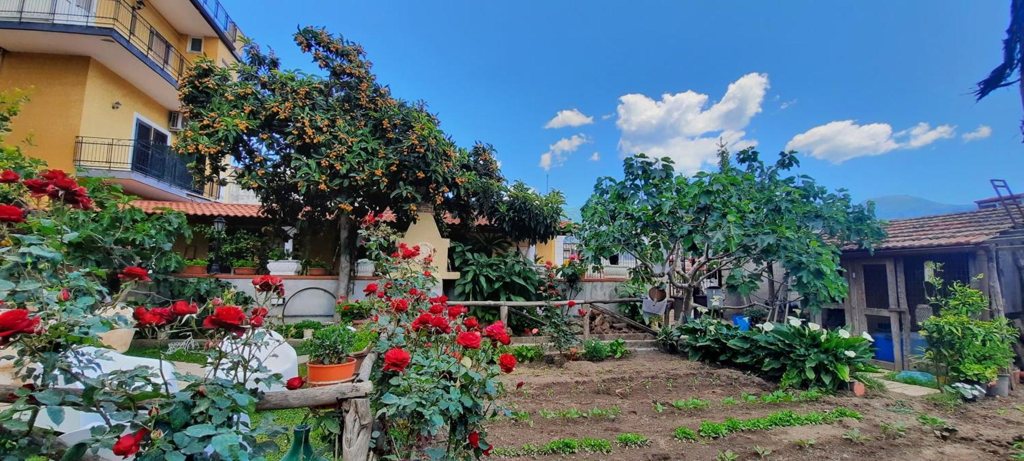 Santa Maria La Carità Buonocore Rooms מראה חיצוני תמונה